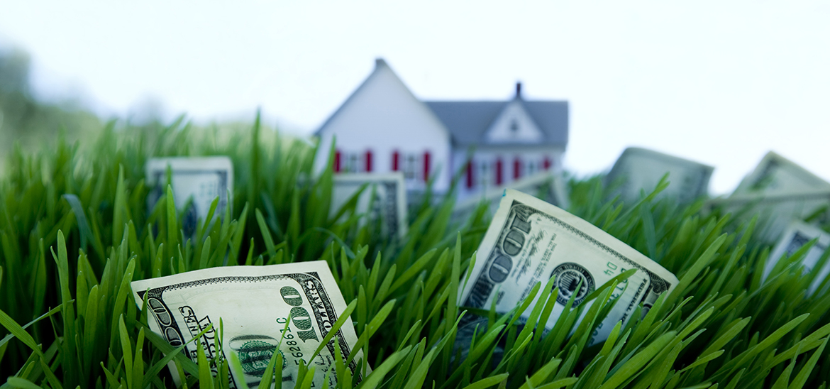 House on green lawn with cash notes growing through