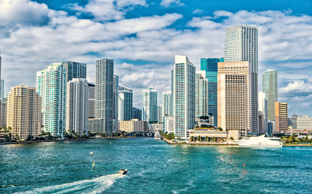 Miami Skyline