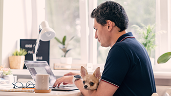 Man typing on laptop with dog in his lap