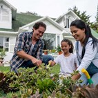 Spring and Summer Homeowner Tips