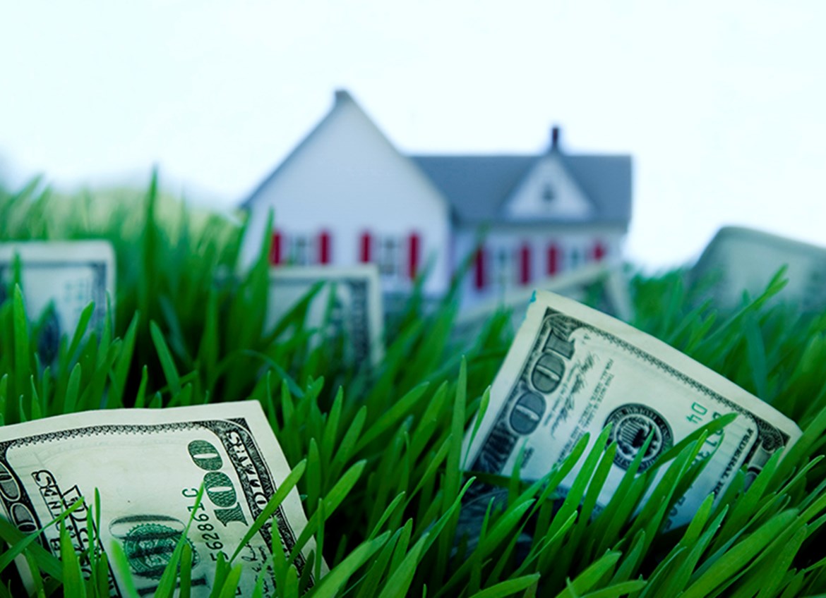 House on green lawn with cash notes growing through