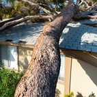 A Guide to Home Insurance